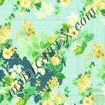 Colour:K