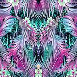 Colour:C