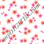 Colour:B