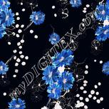 Colour:F