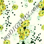Colour:K