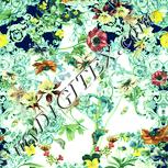 Colour:K