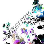 Colour:C