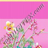 Colour:A