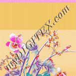 Colour:B