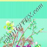 Colour:D
