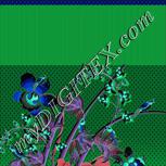 Colour:F