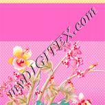 Colour:J