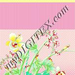 Colour:K