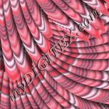 Colour:B