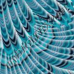 Colour:F