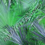 Colour:C