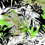 Colour:C