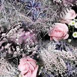 Colour:A