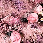 Colour:J