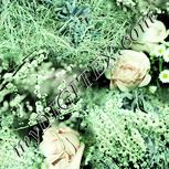 Colour:K