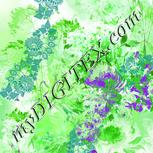 Colour:D
