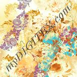 Colour:K