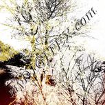 Colour:A