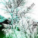 Colour:C