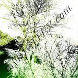 Colour:D
