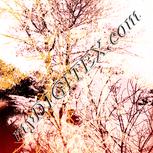 Colour:J