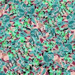 Colour:F