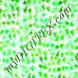 Colour:C