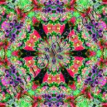 Colour:B