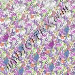 Colour:B