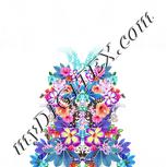 Colour:A