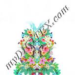Colour:B