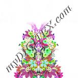 Colour:C