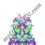 Colour:D