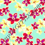 Colour:K