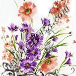 Colour:A