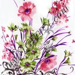 Colour:B