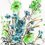 Colour:D