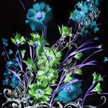 Colour:F