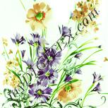 Colour:K