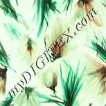 Colour:K