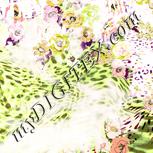Colour:B