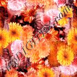 Colour:J