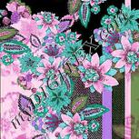 Colour:B