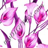 Colour:B