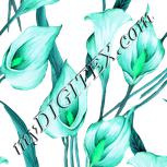 Colour:C