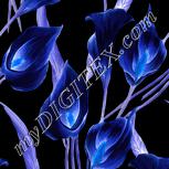 Colour:F