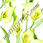 Colour:K
