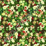 Colour:K