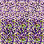 Colour:D